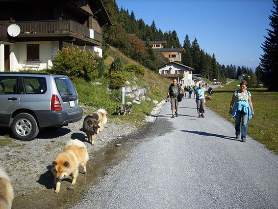 Herrliches Wetter.jpg - Wir hatten herrliches Wetter